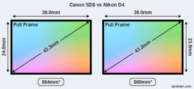 Canon 5DS and Nikon D4 sensor measures