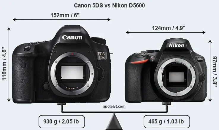 Size Canon 5DS vs Nikon D5600