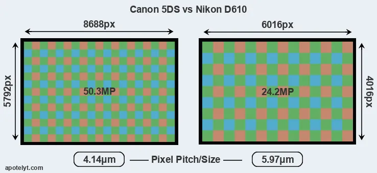 5DS versus D610 MP