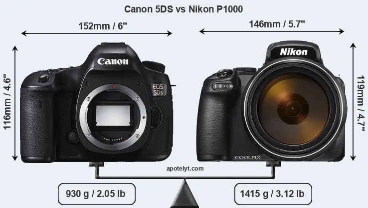 Size Canon 5DS vs Nikon P1000