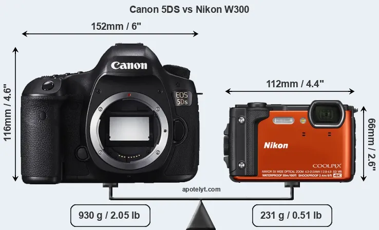 Size Canon 5DS vs Nikon W300