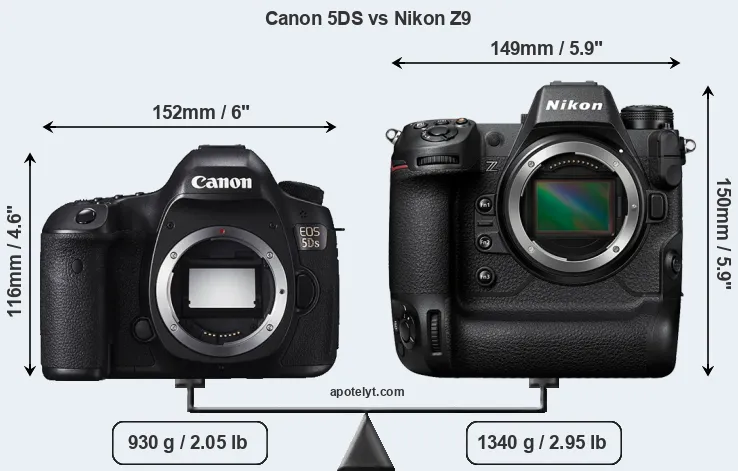 Size Canon 5DS vs Nikon Z9