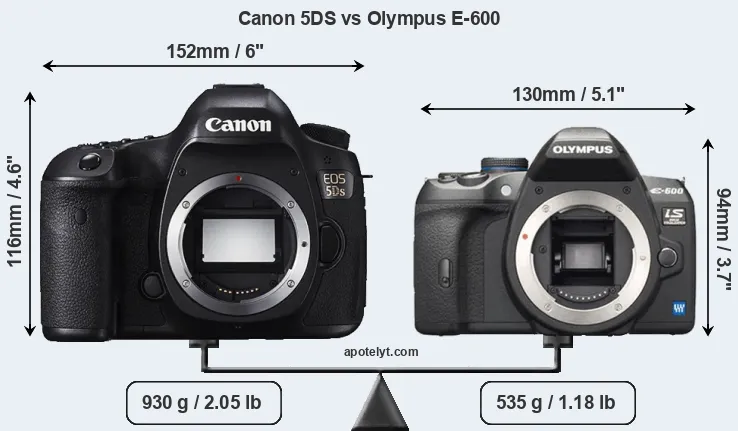 Size Canon 5DS vs Olympus E-600