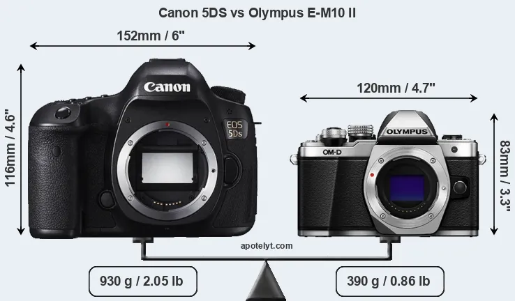 Size Canon 5DS vs Olympus E-M10 II