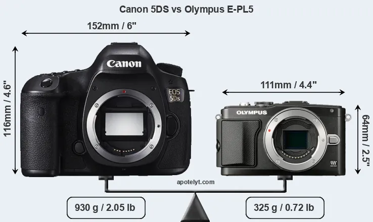 Size Canon 5DS vs Olympus E-PL5