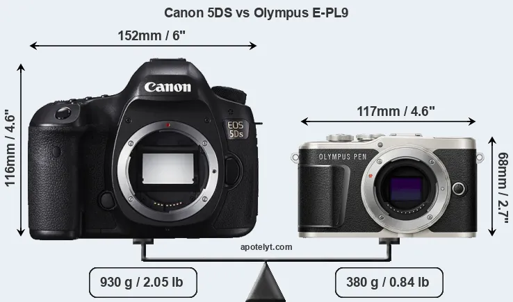Size Canon 5DS vs Olympus E-PL9