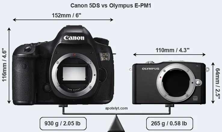 Size Canon 5DS vs Olympus E-PM1