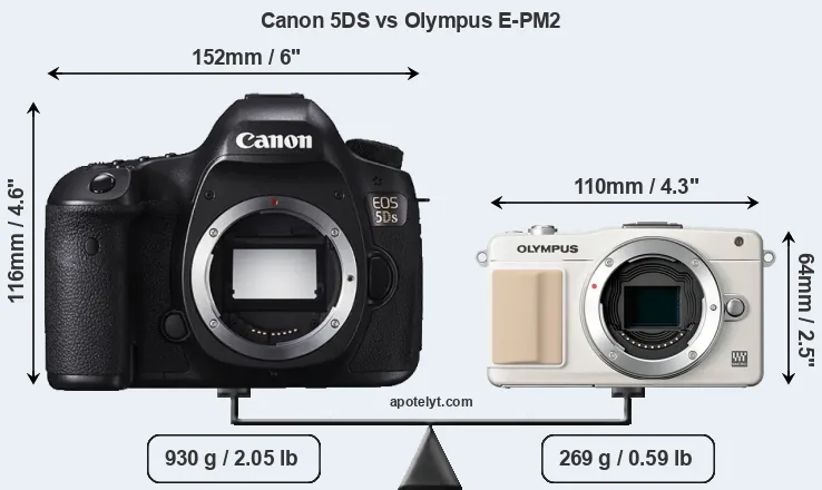 Size Canon 5DS vs Olympus E-PM2