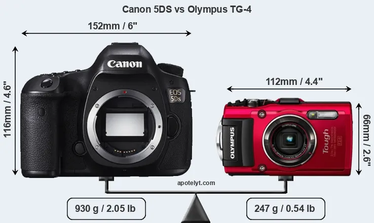 Size Canon 5DS vs Olympus TG-4