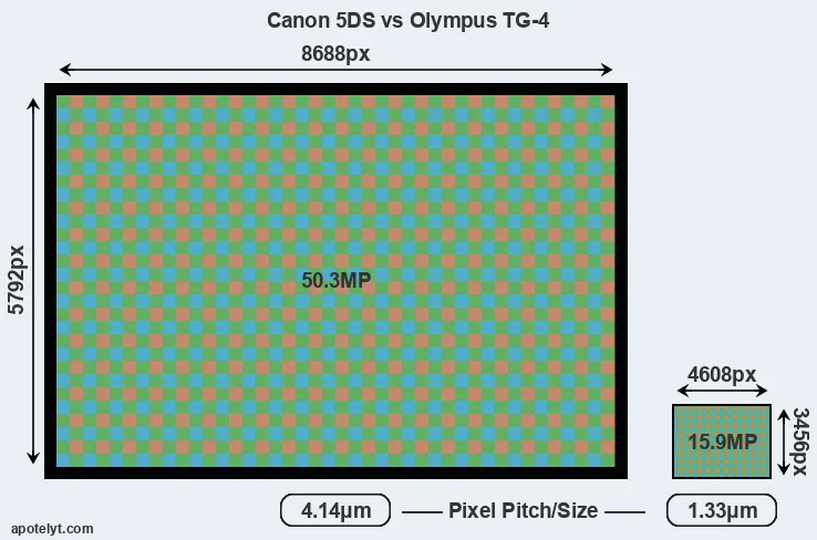 5DS versus TG-4 MP