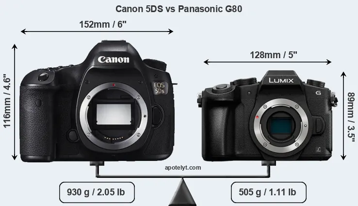 Size Canon 5DS vs Panasonic G80