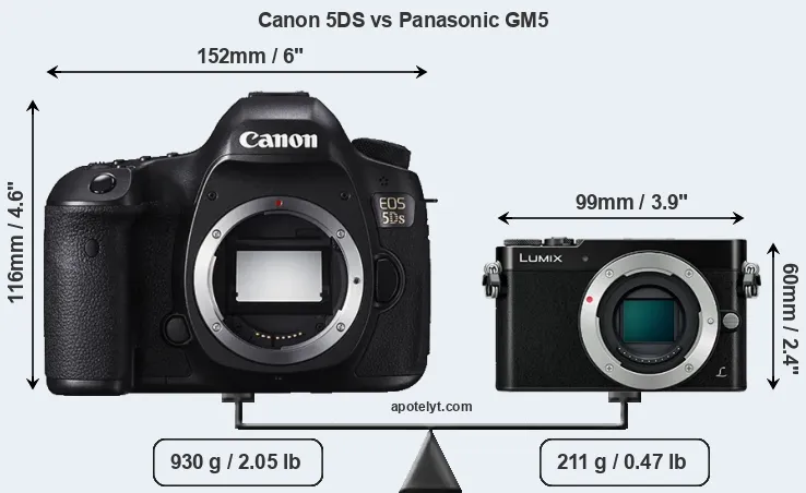 Size Canon 5DS vs Panasonic GM5