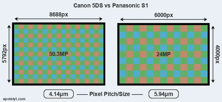 5DS versus S1 MP