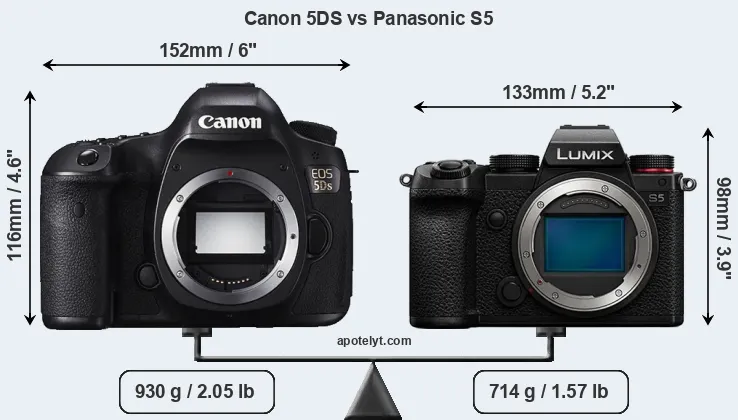 Size Canon 5DS vs Panasonic S5