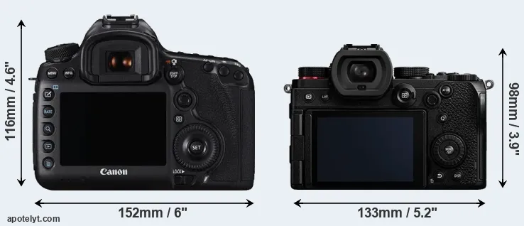 Comparison 5DS or S5 rear