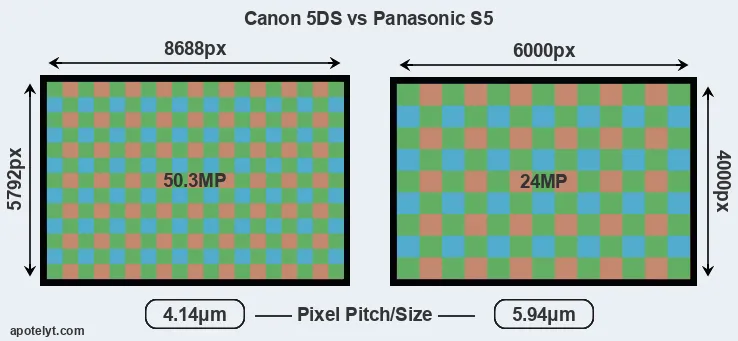 5DS versus S5 MP