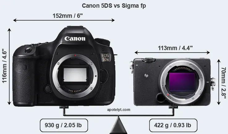 Size Canon 5DS vs Sigma fp