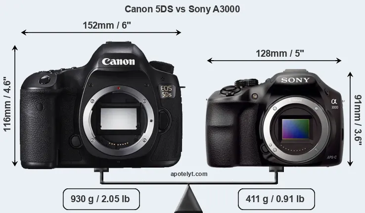 Size Canon 5DS vs Sony A3000