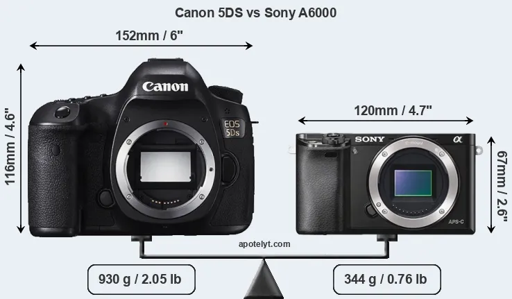 Size Canon 5DS vs Sony A6000