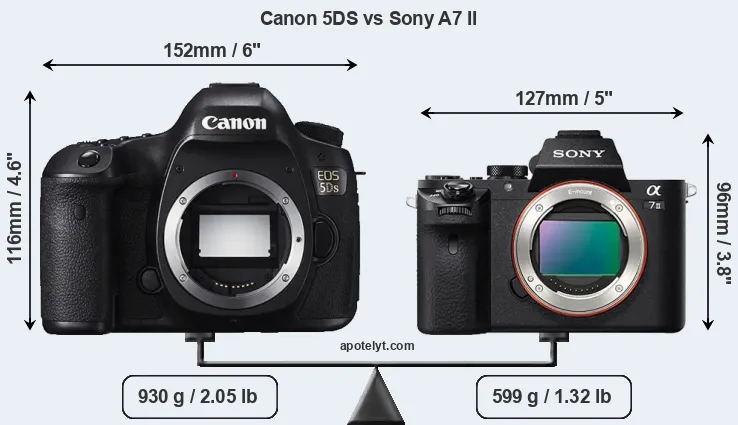 Size Canon 5DS vs Sony A7 II