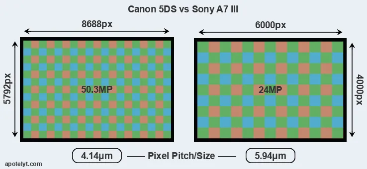 5DS versus A7 III MP