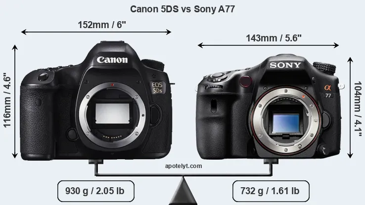 Size Canon 5DS vs Sony A77