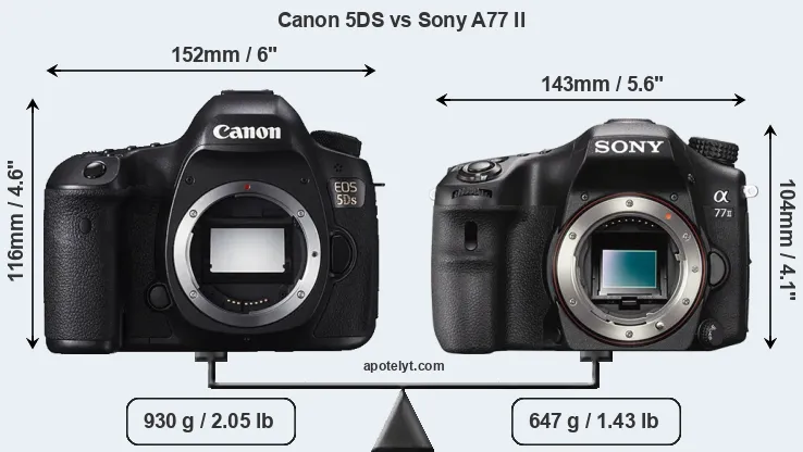 Size Canon 5DS vs Sony A77 II