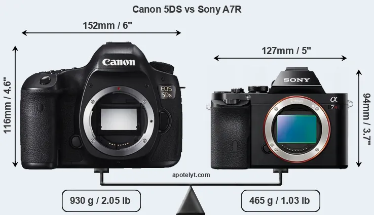 Size Canon 5DS vs Sony A7R
