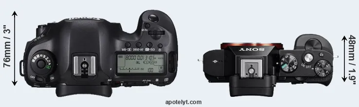 Compare 5DS versus A7R top