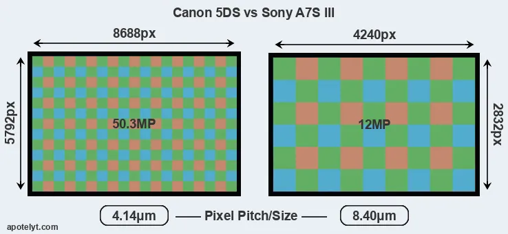 5DS versus A7S III MP