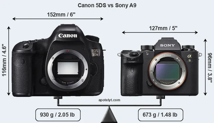 Size Canon 5DS vs Sony A9