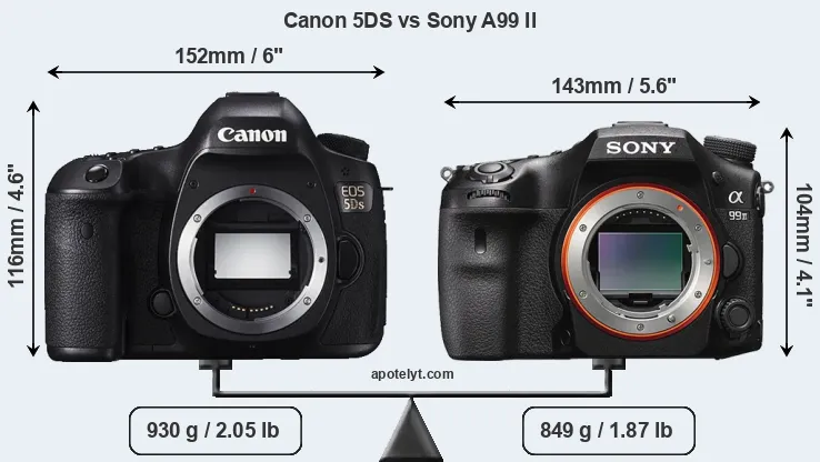 Size Canon 5DS vs Sony A99 II