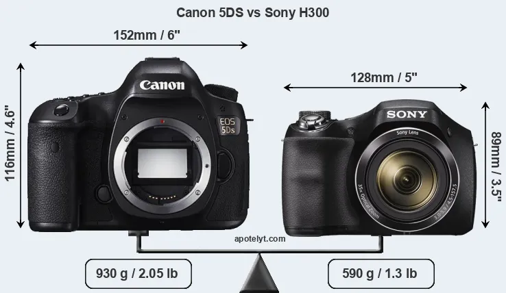 Size Canon 5DS vs Sony H300