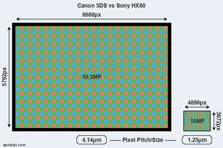 5DS versus HX80 MP