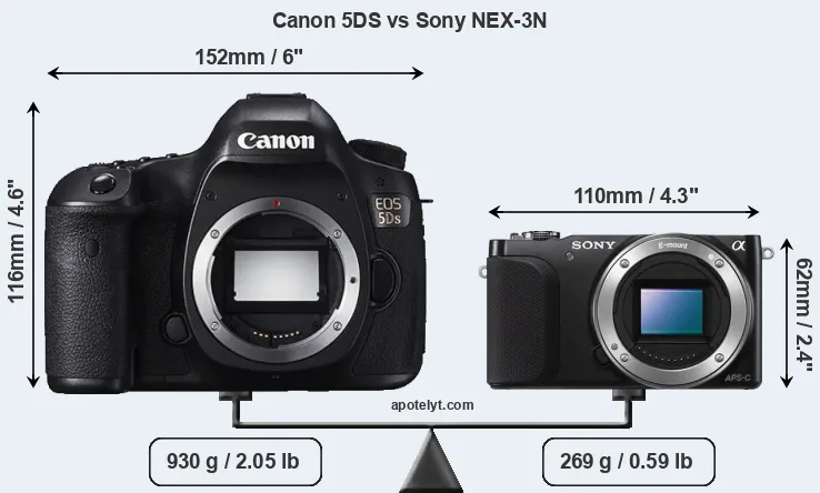 Size Canon 5DS vs Sony NEX-3N