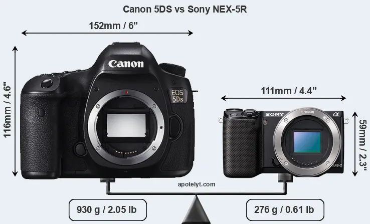 Size Canon 5DS vs Sony NEX-5R