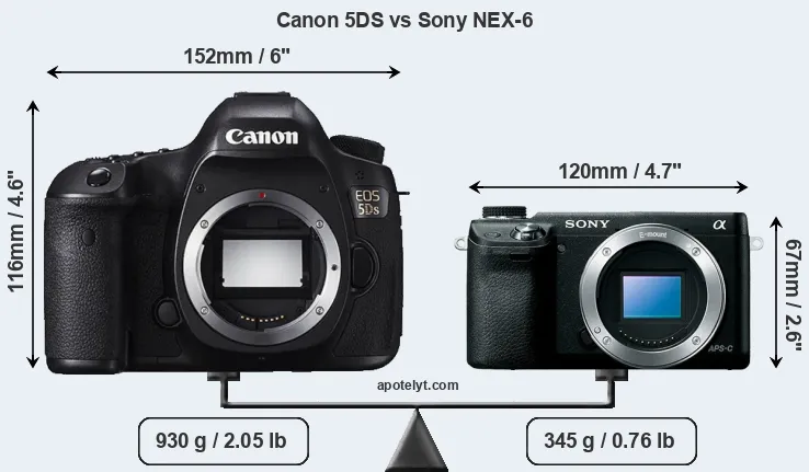 Size Canon 5DS vs Sony NEX-6