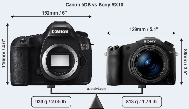 Size Canon 5DS vs Sony RX10