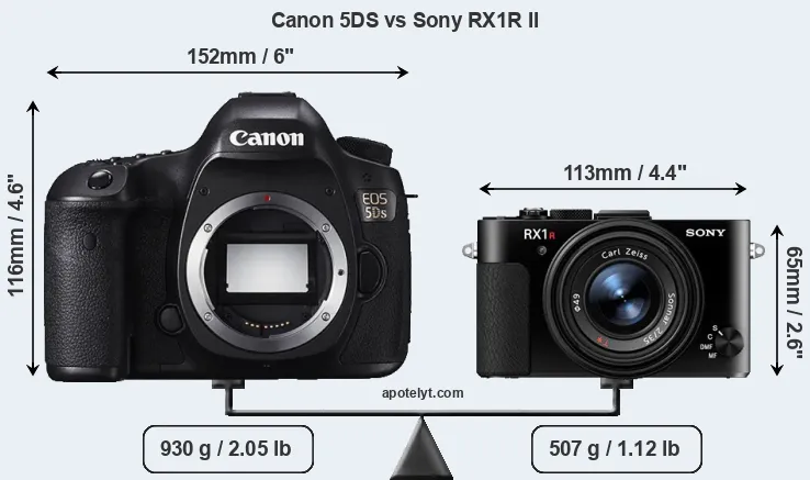 Size Canon 5DS vs Sony RX1R II