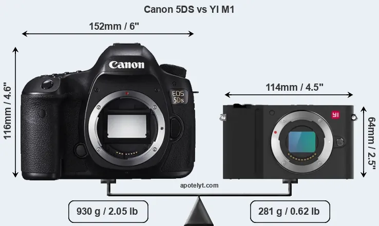 Size Canon 5DS vs YI M1