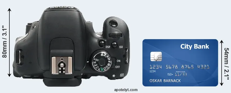 600D versus credit card top view
