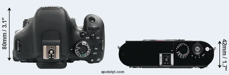 Compare 600D versus M Typ 240 top