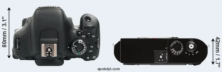 Compare 600D versus M Typ 262 top