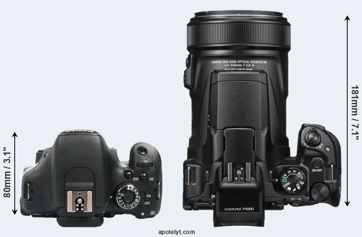 Compare 600D versus P1000 top