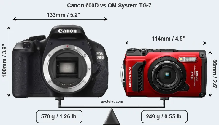 Size Canon 600D vs OM System TG-7