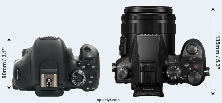 Compare 600D versus FZ2000 top