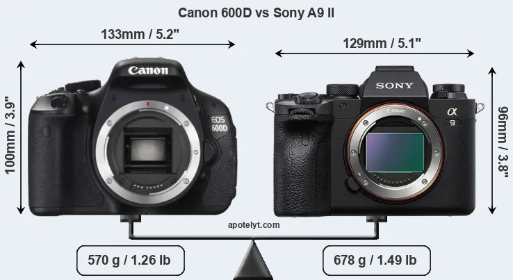 Size Canon 600D vs Sony A9 II