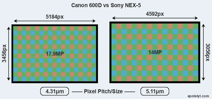 600D versus NEX-5 MP