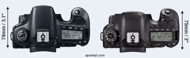 Compare 60D versus 6D Mark II top
