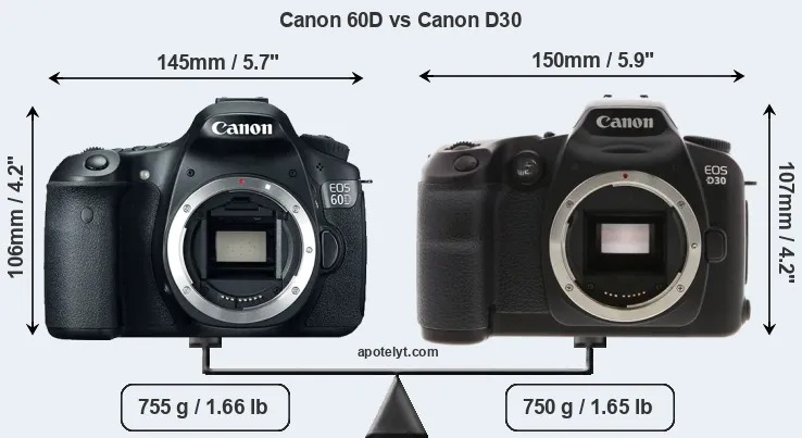 Size Canon 60D vs Canon D30